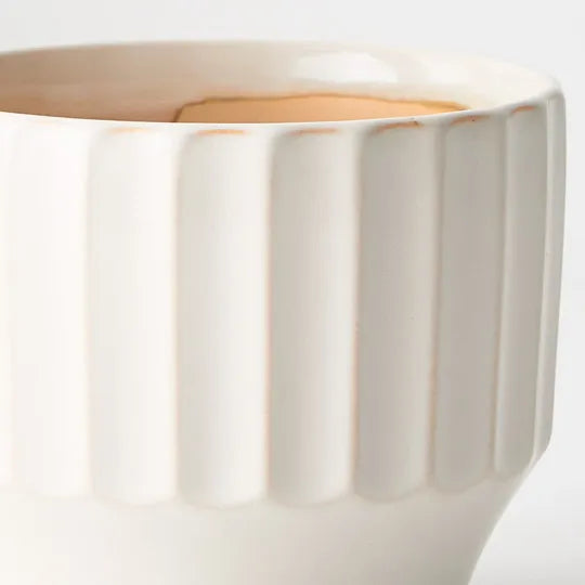 Offshoot | Capra Pot Medium