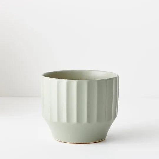 Offshoot | Capra Pot Small