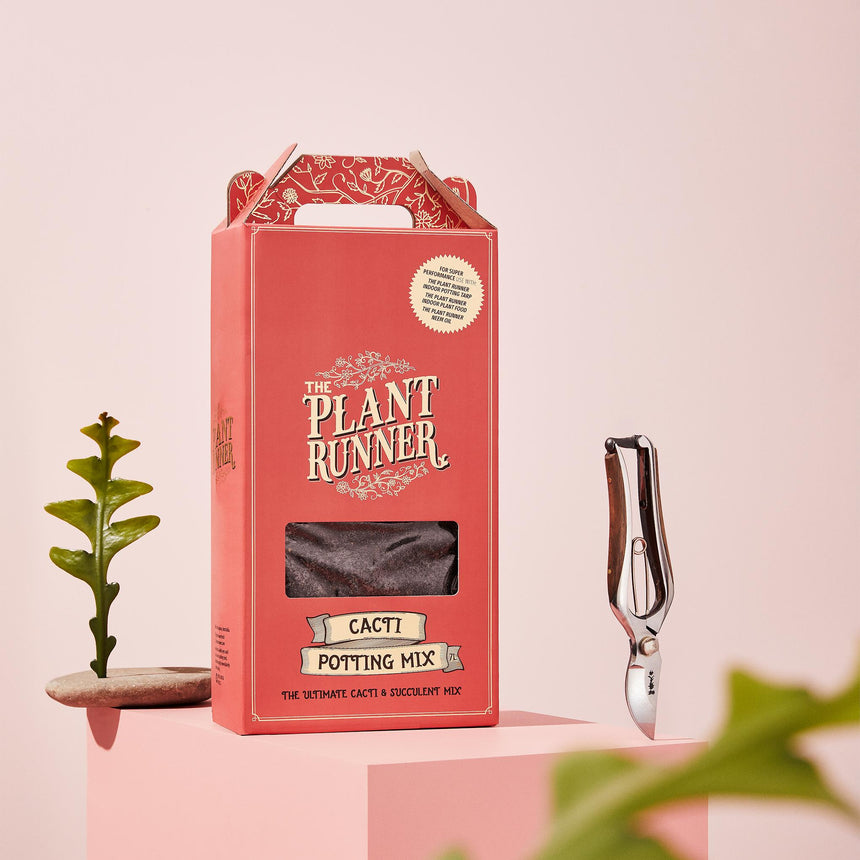 The Plant Runner | Cacti and Succulent Mix
