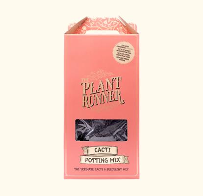 The Plant Runner | Cacti and Succulent Mix