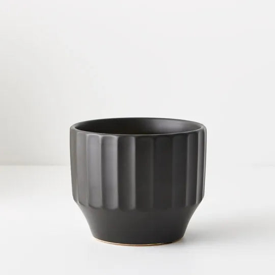 Offshoot | Capra Pot Small