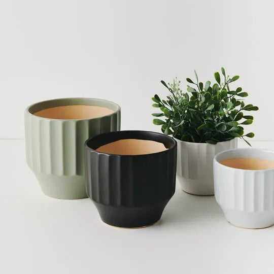 Offshoot | Capra Pot Small