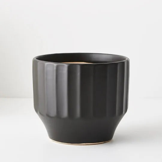 Offshoot | Capra Pot Medium