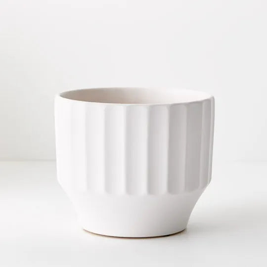 Offshoot | Capra Pot Medium