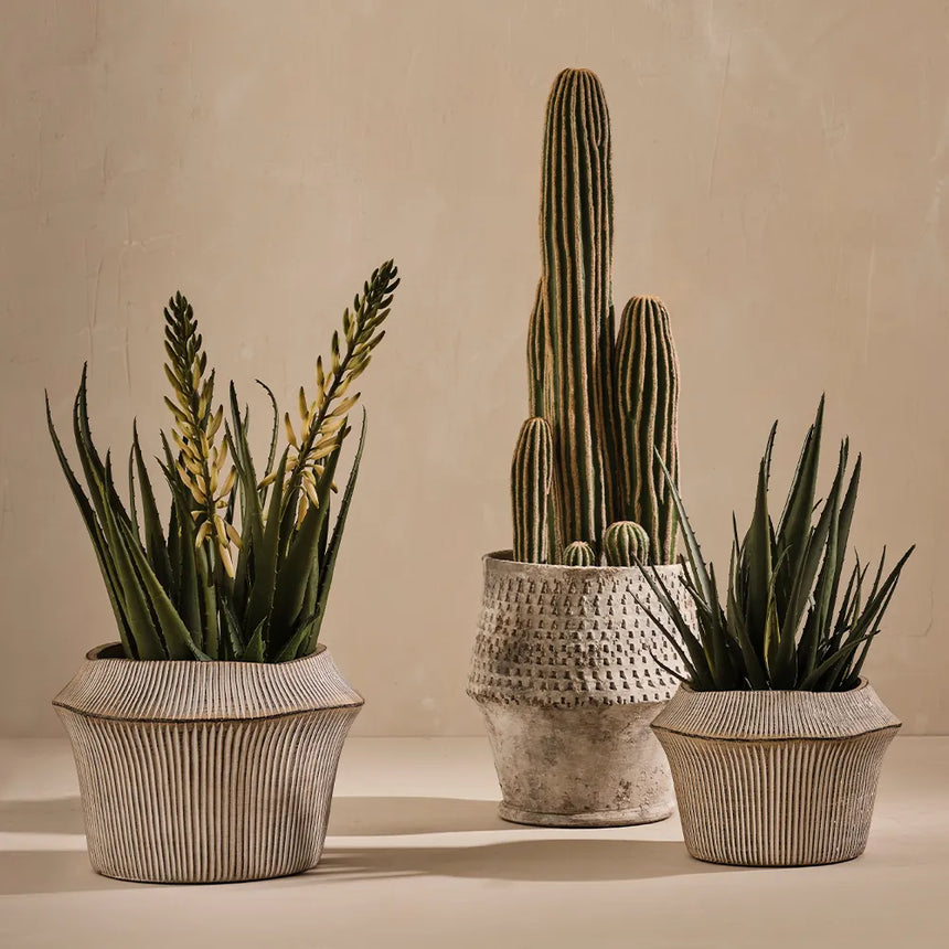 Offshoot || Catullo Pot