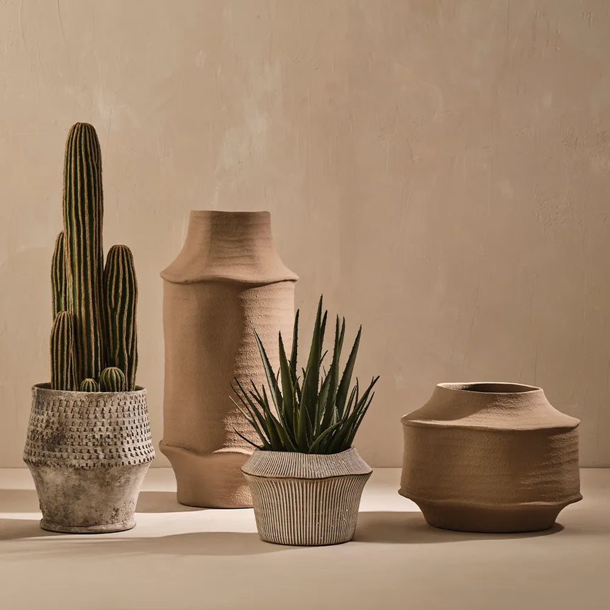 Offshoot || Catullo Pot