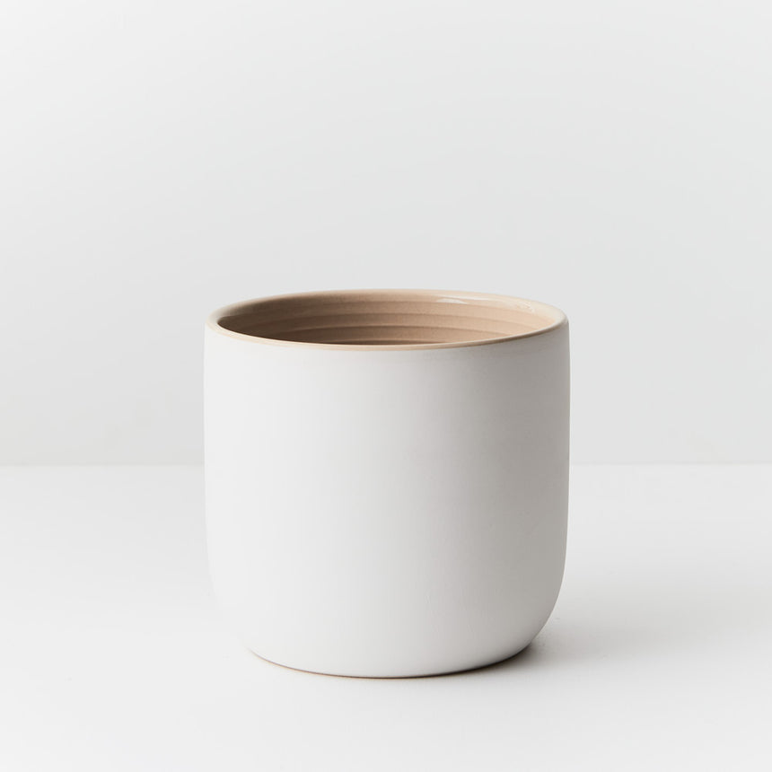 Offshoot | Cavo Pot - Medium