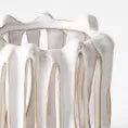 Offshoot | Lantern Claudia