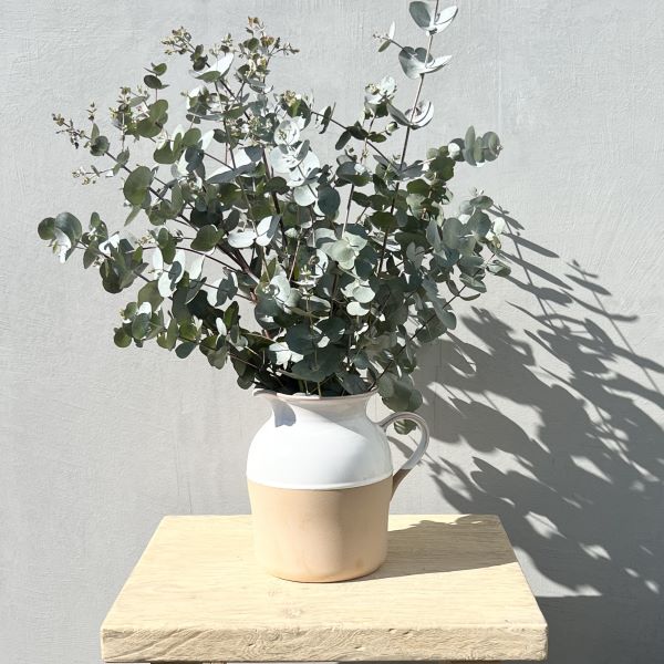 Ivory House | Mode Cucina Jug
