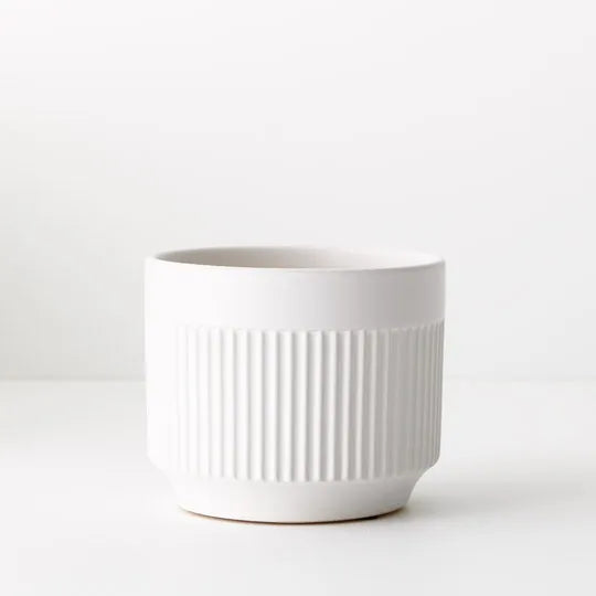Offshoot | Dilu Pot