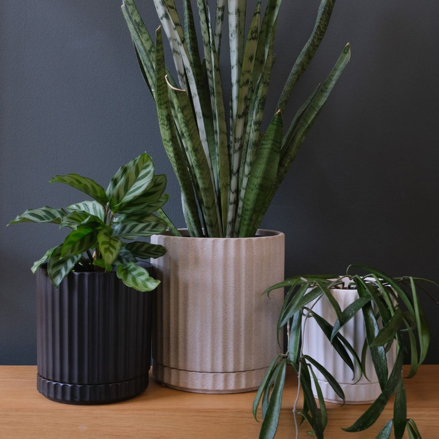 Athens Planter Black Small