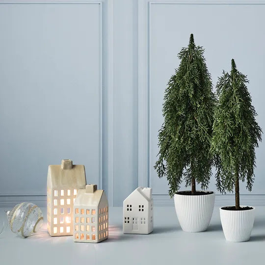 Offshoot | Lantern House Karl
