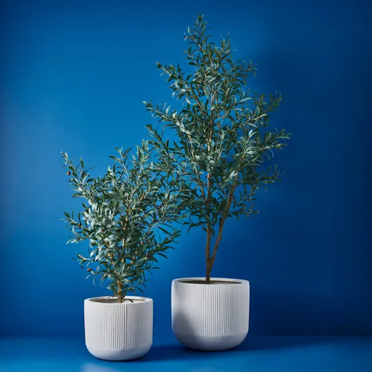 Offshoot| Linear Planter