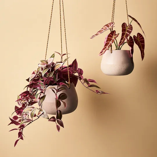 Losetta Hanging  Pot - Nude Medium