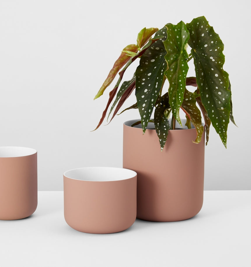 Middle of Nowhere | Minna Planter Rust Large