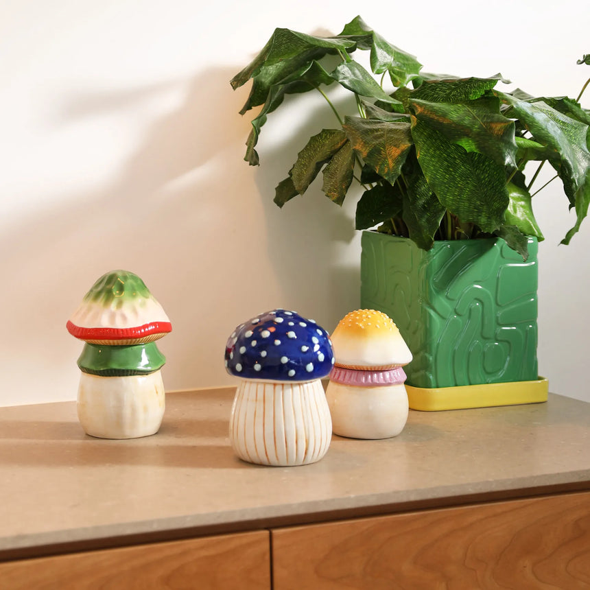&KLEVERING ||  Magic Mushroom Jar