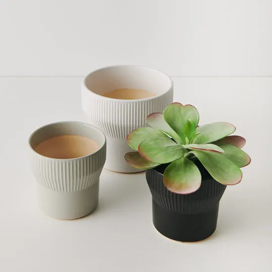 Offshoot | Nalo Pot