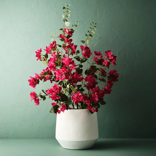 Offshoot || Pascali Pot White