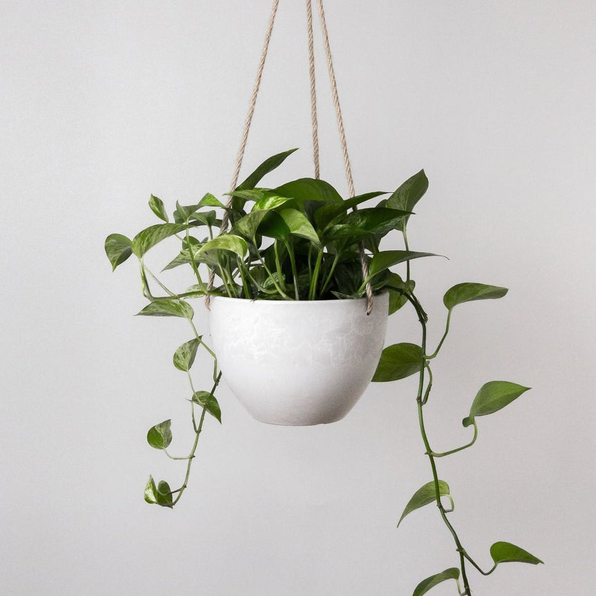 Columbia Hanging Pot Small White Stone