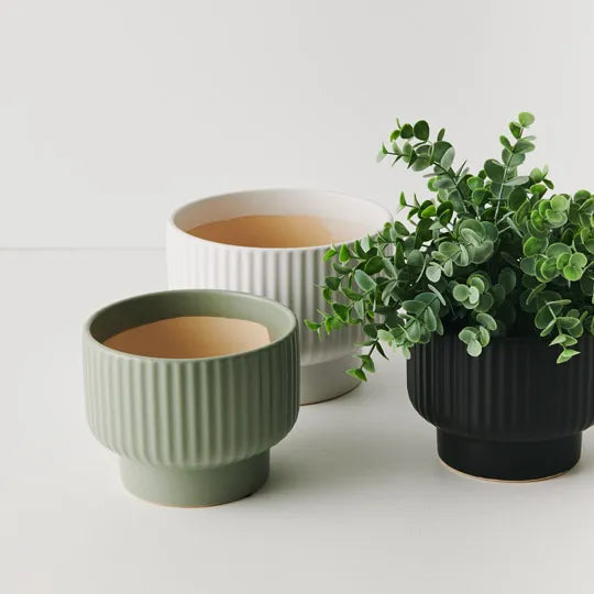 Offshoot | Silke Pot Medium