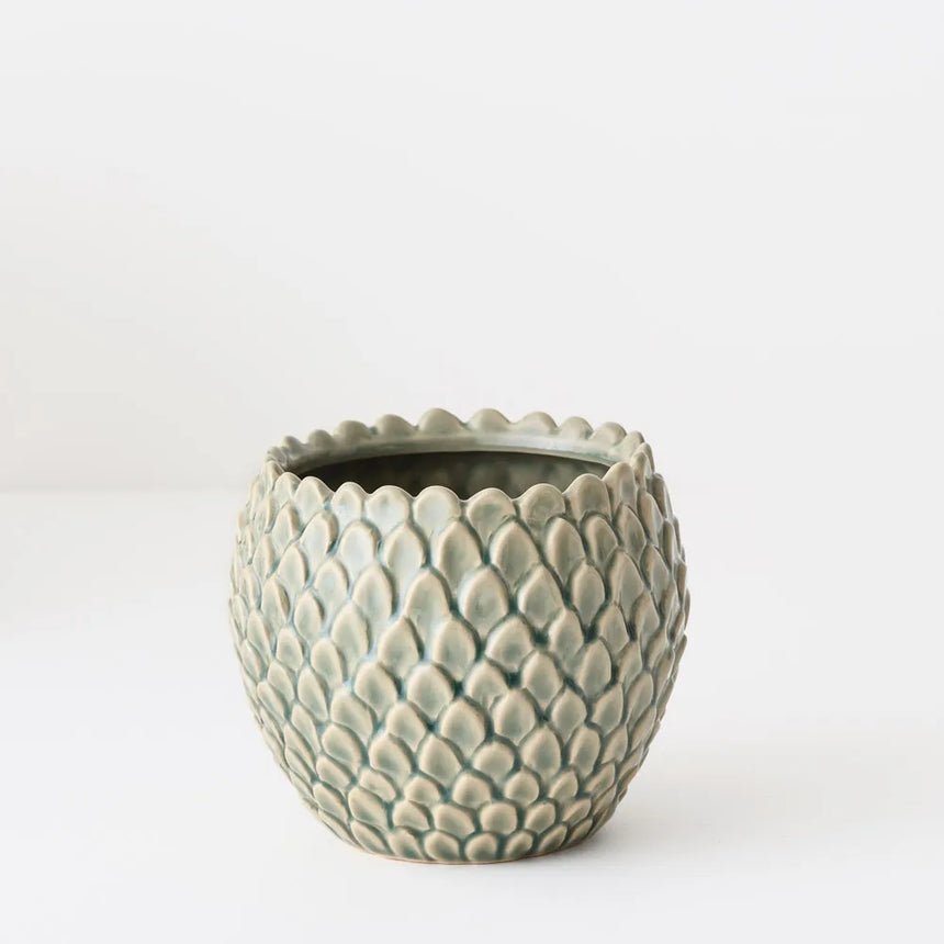 Offshoot || Skalee Pot Celadon Small