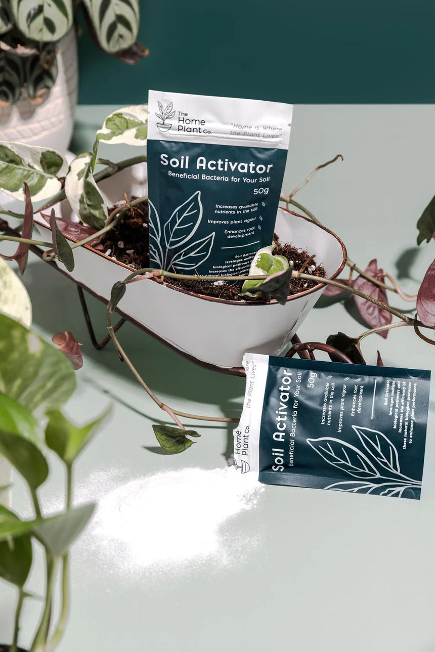The Home Plant Co. | Soil Activator 50g