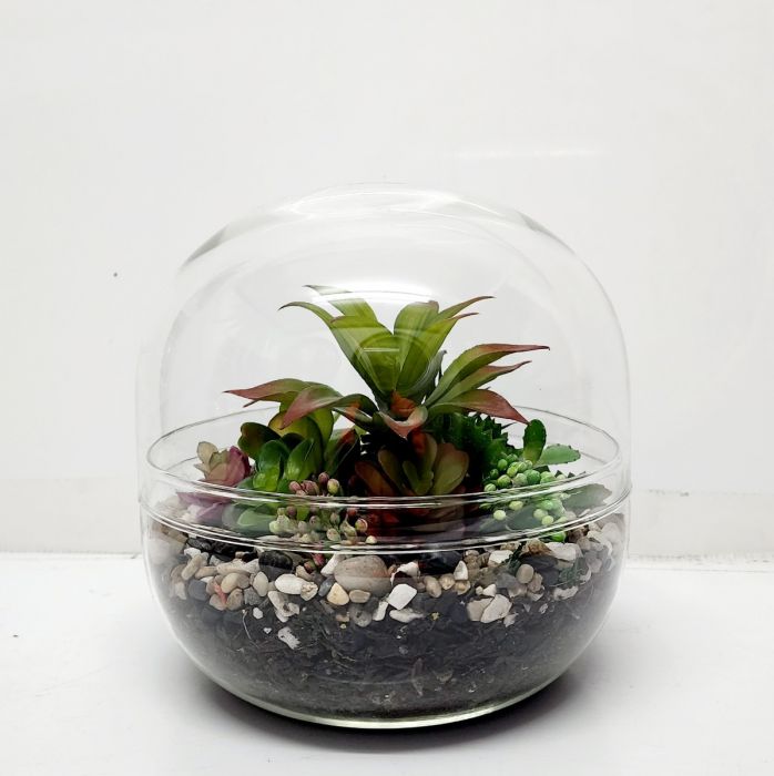 Offshoot |  Sphere Glass Atrium Vase