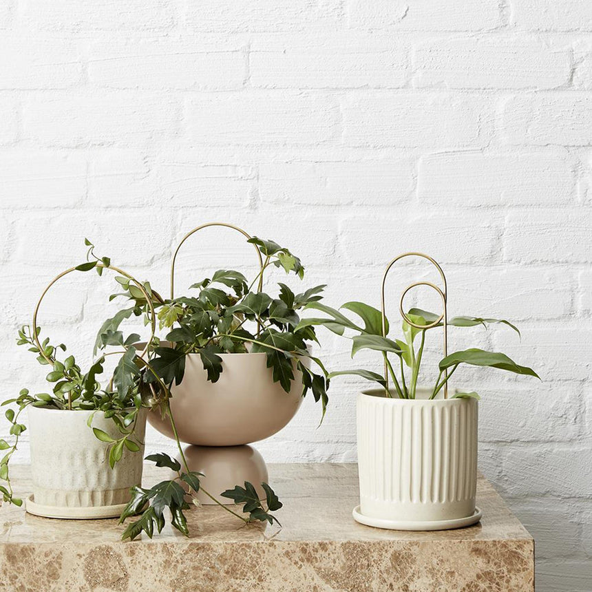 The Plant Runner | Ivy Muse Brass Plant Stake Circle