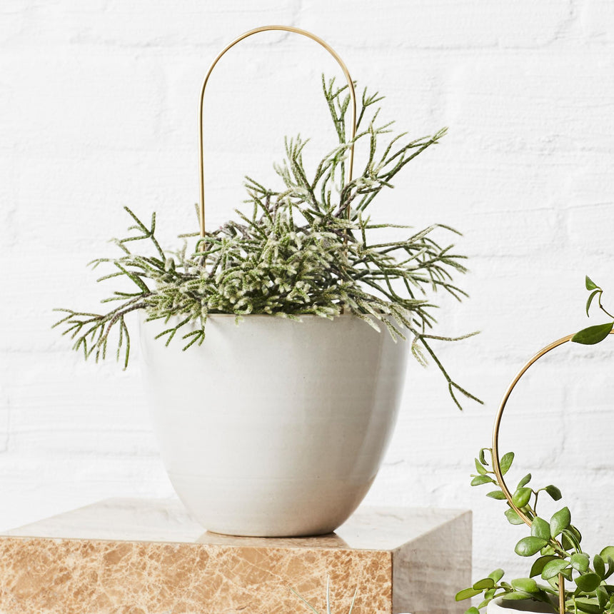 The Plant Runner | Ivy Muse Brass Plant Stake Arch