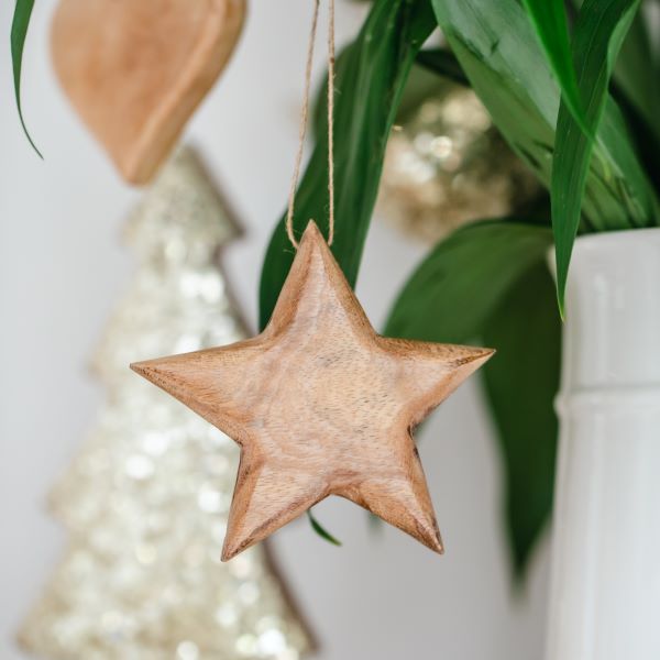 Ivory House |Lucia Wood Star