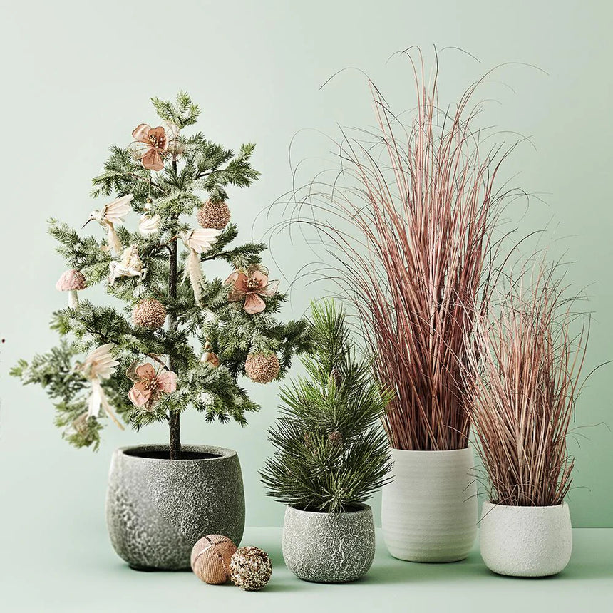 Offshoot ||  Christmas Ornament Swan Ivory