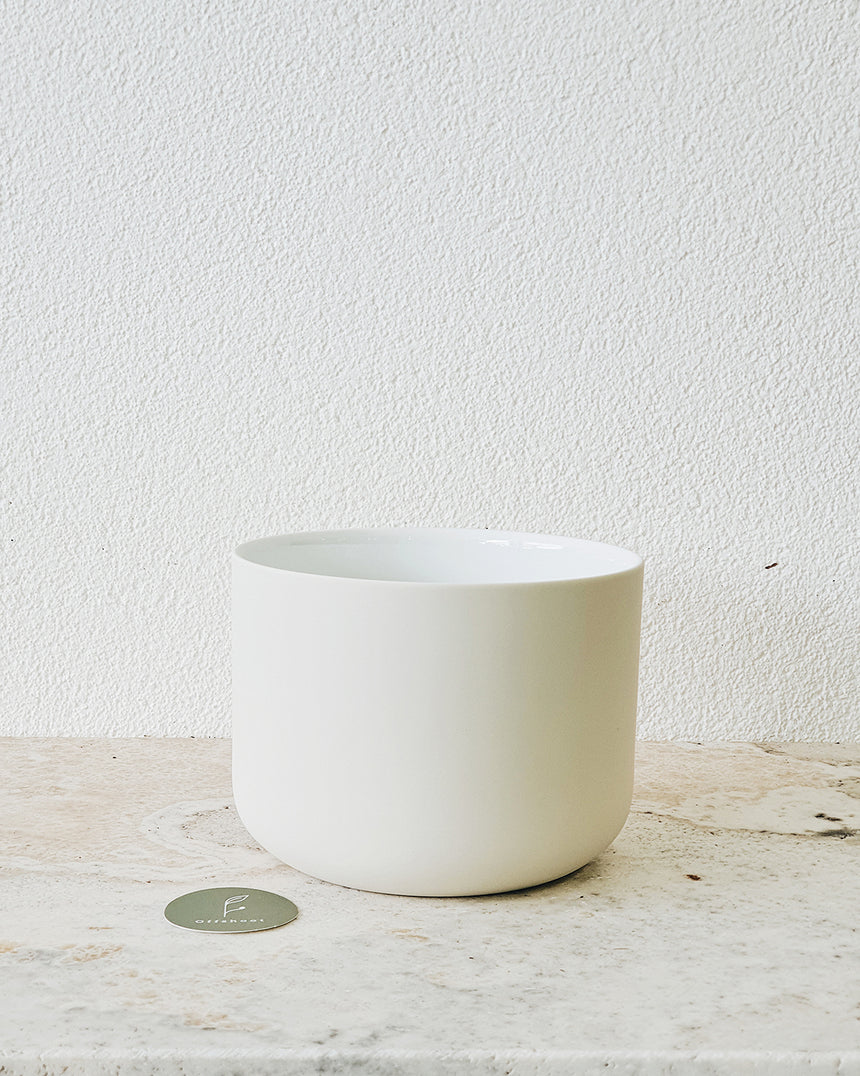 Middle of Nowhere | Minna Planter Mist Small