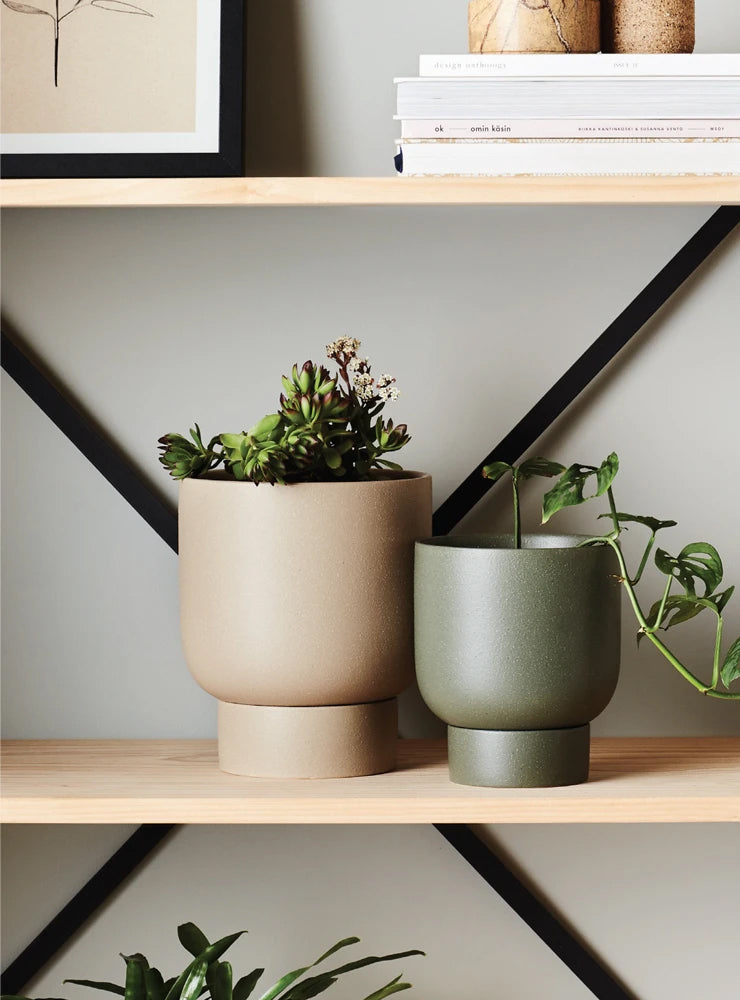 Evergreen Collective | Finch Pot White Medium