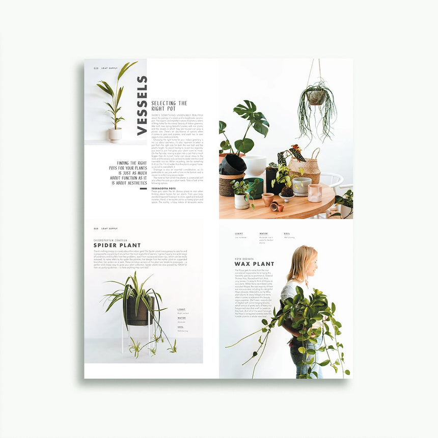 Botanical Books | Leaf Supply Book