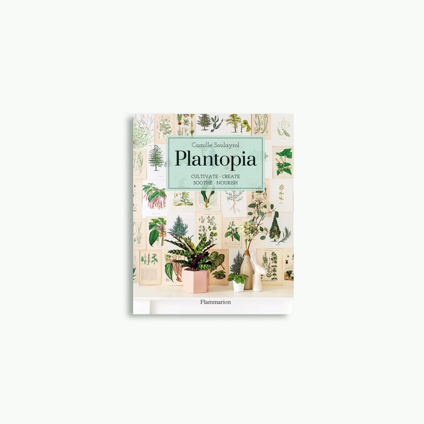 Plantopia : Cultivating, Decorating and Crafting With House Plants