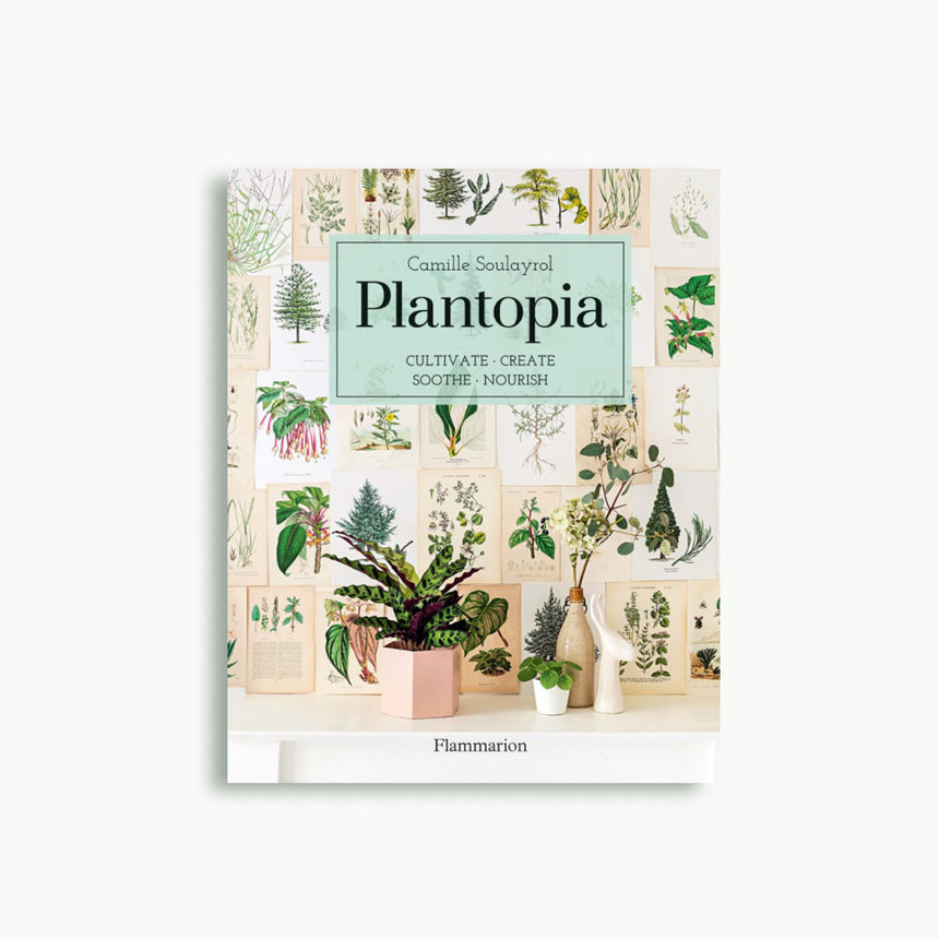Plantopia : Cultivating, Decorating and Crafting With House Plants