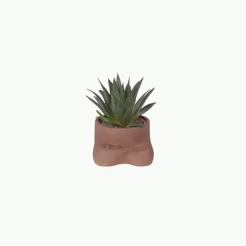 DOIY | Namaste Plant Pot