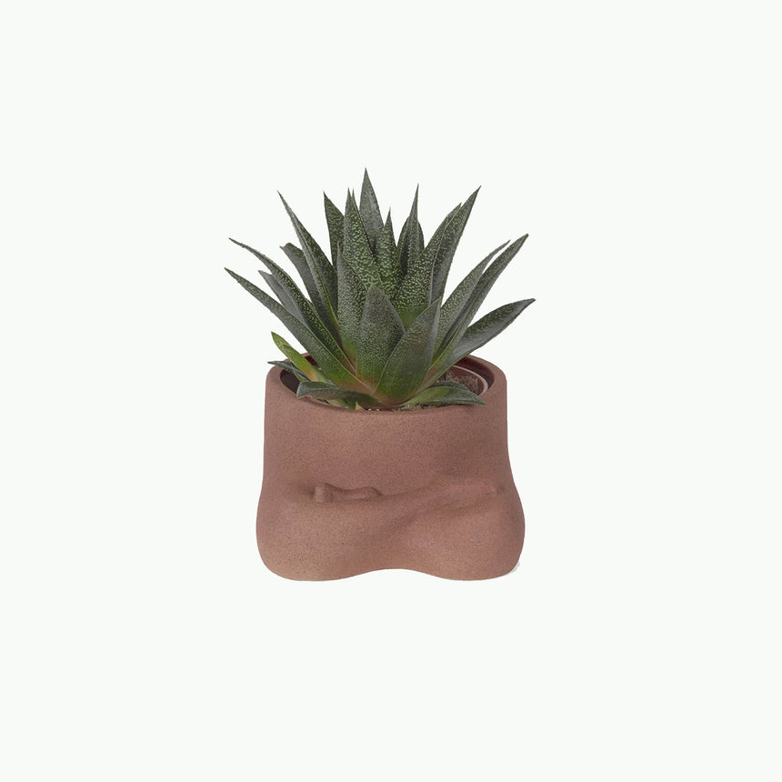 DOIY | Namaste Plant Pot