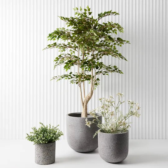 Offshoot | Cenzo Egg Planter Grey