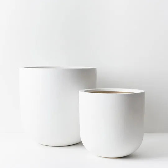Offshoot | White Egg Planter