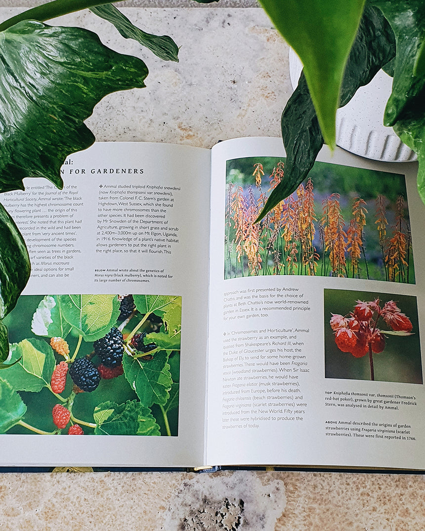 Botanical Books | Secrets of Great Botanists