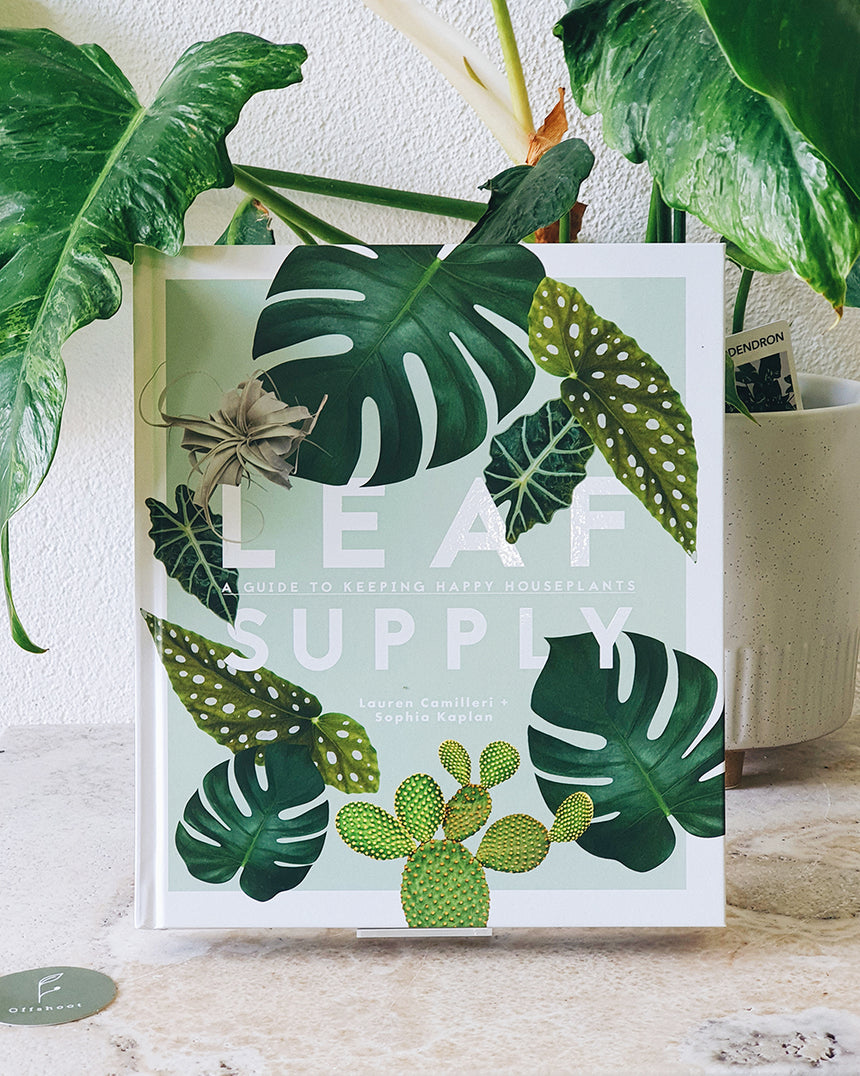 leaf supply a guide to keeping happy house plants Offshoot | Botanical Books