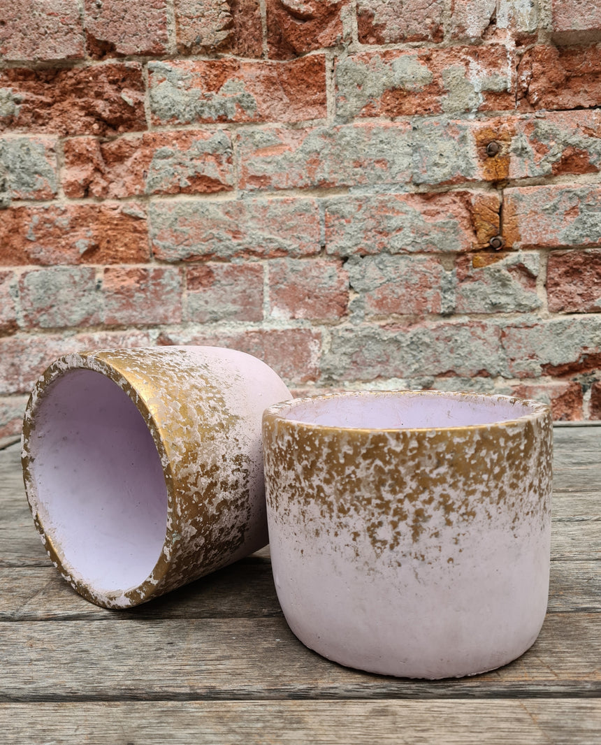 The Pot Dealer | Pink and Gold Concrete Pot