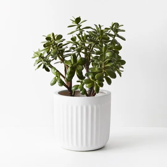 Offshoot | Pleat Round Planter White